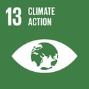 TheGlobalGoals_Icons_Color_Goal_13